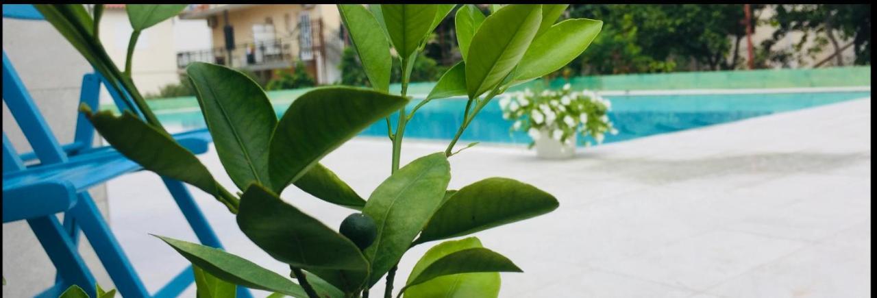 Eco-Friendly Estate I Lejlighedshotel Primošten Eksteriør billede