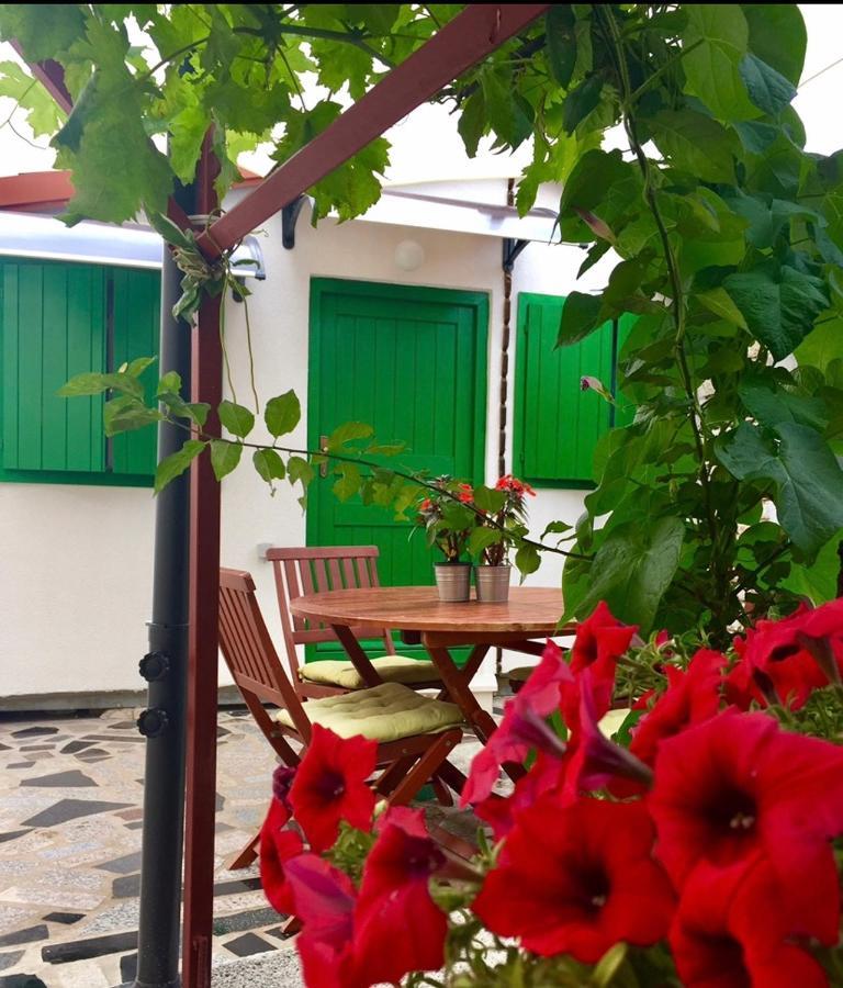 Eco-Friendly Estate I Lejlighedshotel Primošten Eksteriør billede